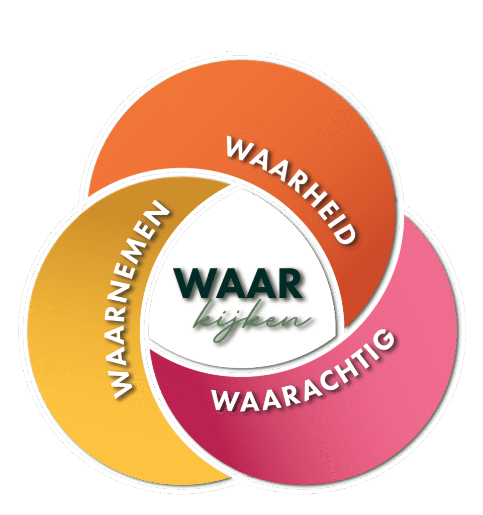 inzicht krijgen in patronen door zonder oordeel te kijken